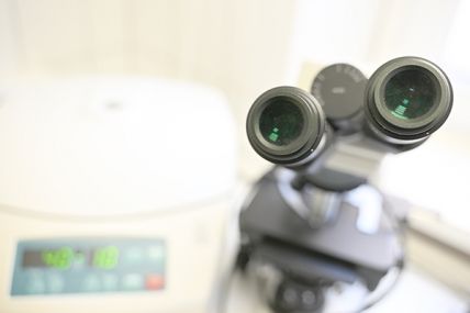 Biologische Tumortherapie